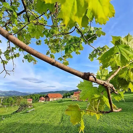 Camping Camp The Sunrise Hill Pivka