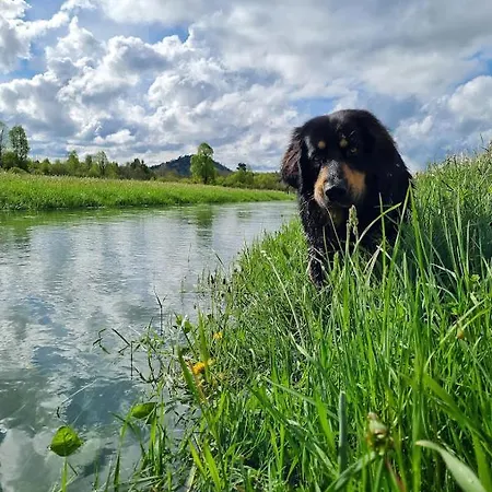 Camp The Sunrise Hill Campeggio *