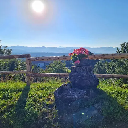 Camp The Sunrise Hill Camping Pivka
