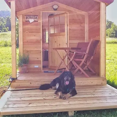 Campeggio Camp The Sunrise Hill Pivka