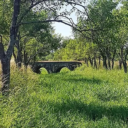 Camp The Sunrise Hill Pivka