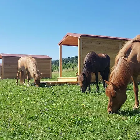 Camp The Sunrise Hill Campeggio