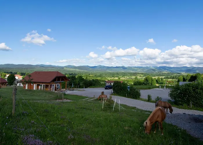 Camp The Sunrise Hill