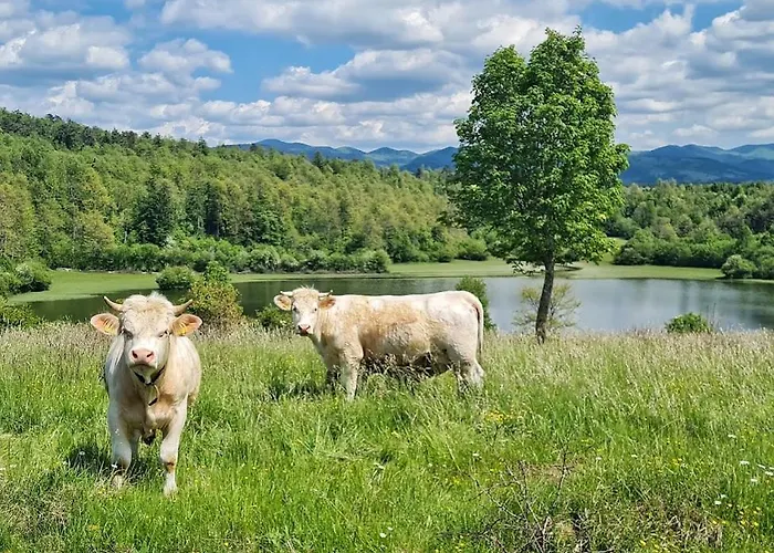مكان تخييم Camp The Sunrise Hill بيفكا
