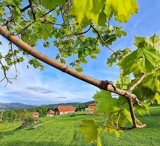 مكان تخييم Camp The Sunrise Hill بيفكا