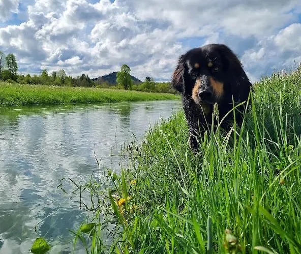 Camp The Sunrise Hill Camping *