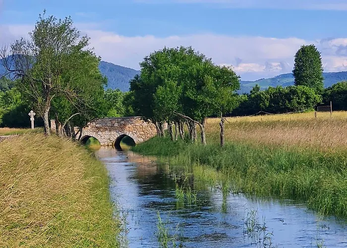 Camp The Sunrise Hill Camping