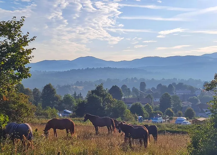 Camping Camp The Sunrise Hill *