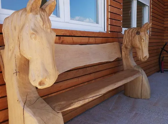 Camp The Sunrise Hill Pivka