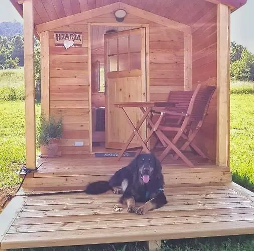 مكان تخييم Camp The Sunrise Hill بيفكا