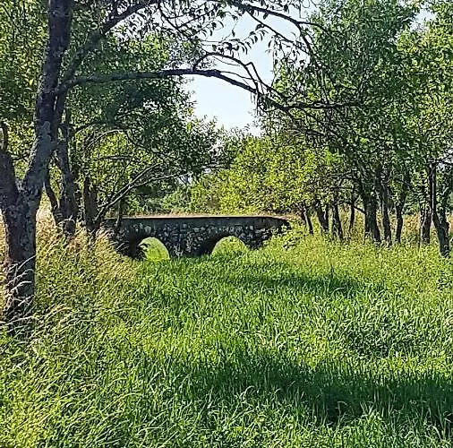 Camp The Sunrise Hill بيفكا