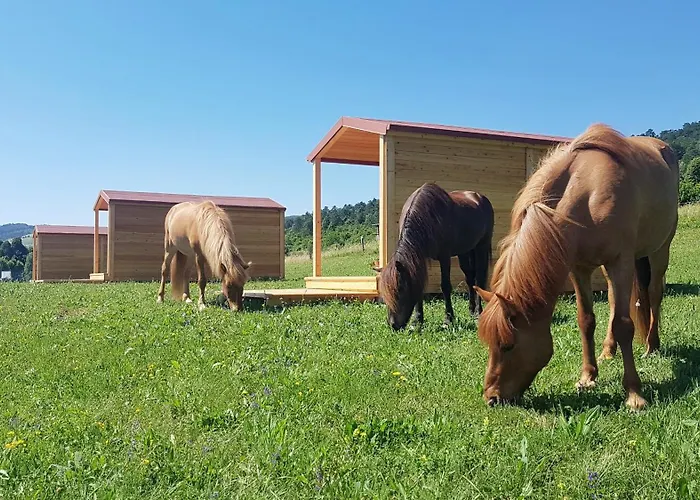 Camp The Sunrise Hill مكان تخييم